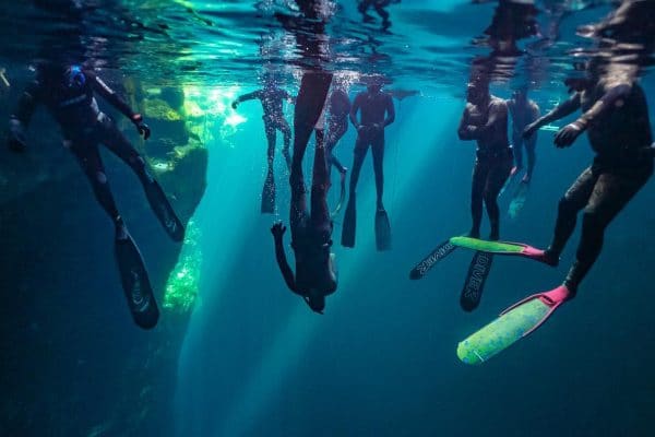 Freediving Courses and Speaker